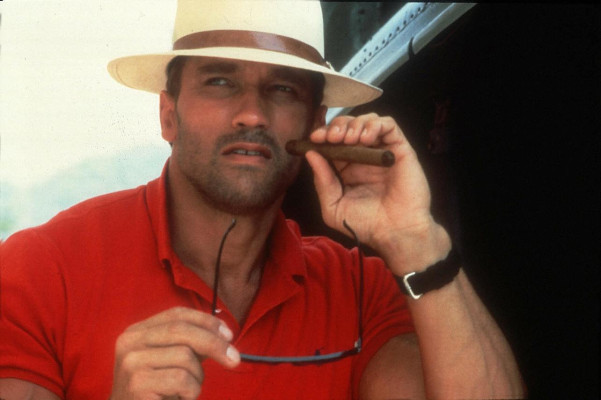 Arnold Schwarzenegger pic #294886