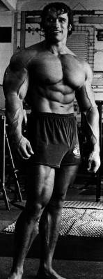 Arnold Schwarzenegger pic #322489