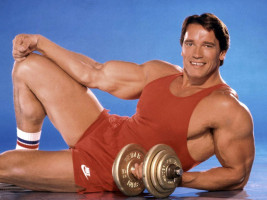 Arnold Schwarzenegger pic #408829