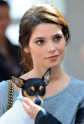 photo 6 in Ashley Greene gallery [id429747] 2011-10-19 00:00:00