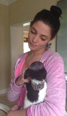 Ashley Greene pic #612930