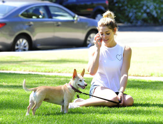 Ashley Greene pic #1091320