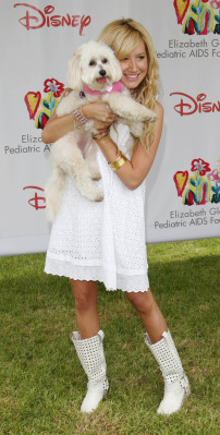 Ashley Tisdale pic #139474