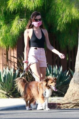 AUBREY PLAZA Walks Her Dogs Out in Los Feliz 06/10/2020
