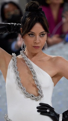 Met Gala 2023