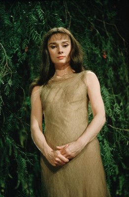 Audrey Hepburn pic #195109