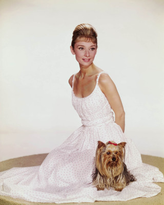 Audrey Hepburn pic #65765