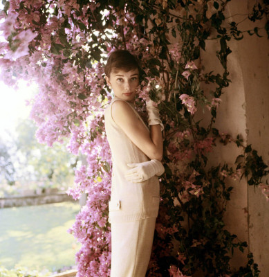 photo 4 in Audrey Hepburn gallery [id207105] 2009-11-13 00:00:00