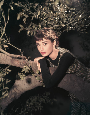 Audrey Hepburn pic #368378