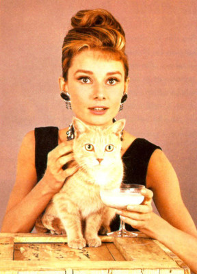 photo 8 in Audrey Hepburn gallery [id207101] 2009-11-13 00:00:00
