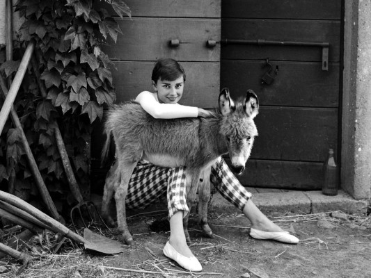 Audrey Hepburn pic #231733