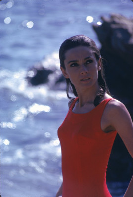 photo 22 in Audrey Hepburn gallery [id515409] 2012-05-25 00:00:00