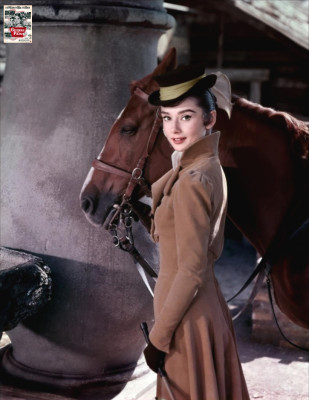Audrey Hepburn pic #473467