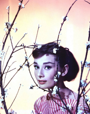 Audrey Hepburn pic #479434