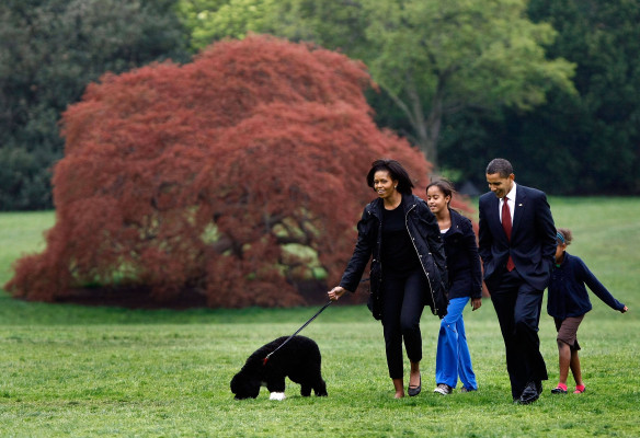 Barack Obama pic #634900