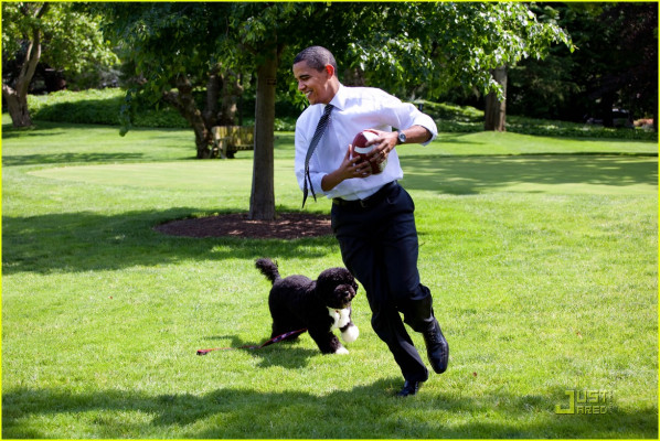 Barack Obama pic #634899