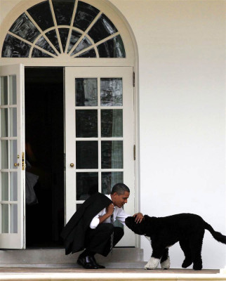 Barack Obama pic #634904