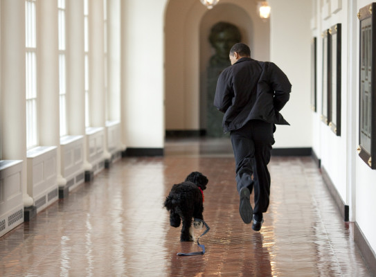 Barack Obama pic #634898