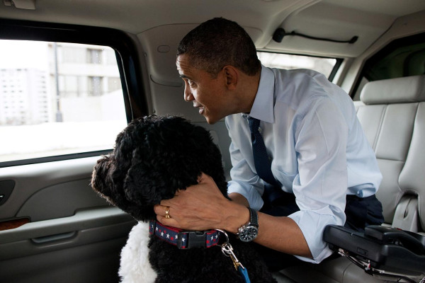 photo 5 in Barack Obama gallery [id638866] 2013-06-01 00:00:00