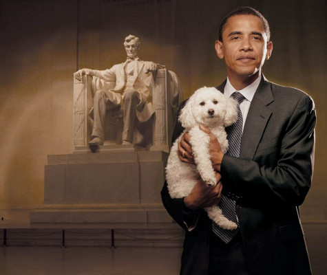 Barack Obama pic #634913