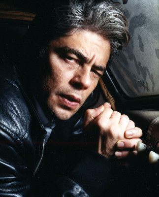 photo 14 in Benicio Del Toro gallery [id88905] -0001-11-30 00:00:00