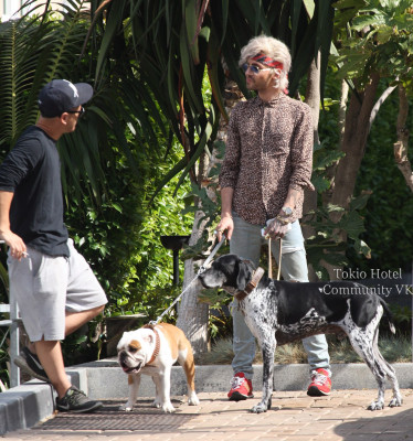 photo 7 in Kaulitz gallery [id896642] 2016-07-03 00:00:00
