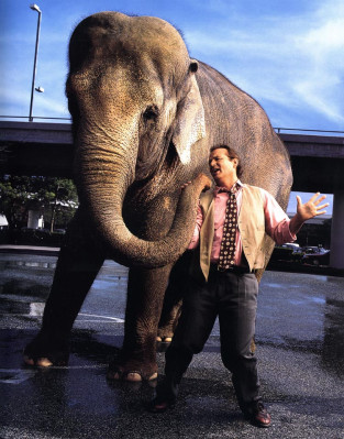 Bill Murray pic #71389