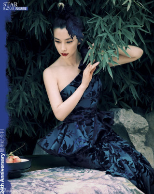 Bingbing Li pic #631765