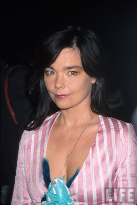 Bjork pic #281666