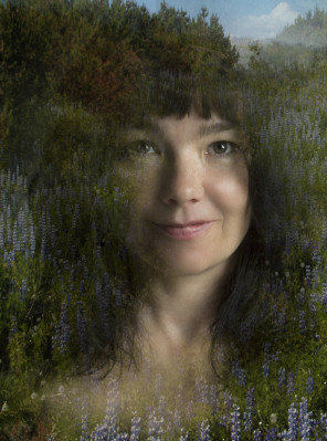 Bjork pic #197497