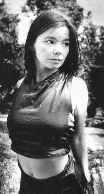 photo 3 in Bjork gallery [id13624] -0001-11-30 00:00:00