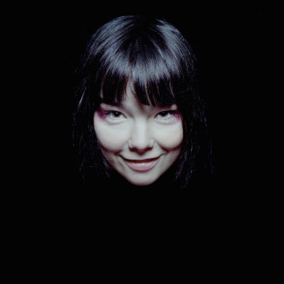 Bjork pic #115629