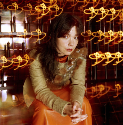 Bjork pic #378258