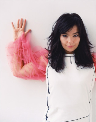 Bjork pic #152950