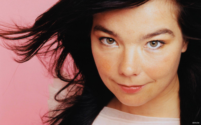 Bjork pic #145873