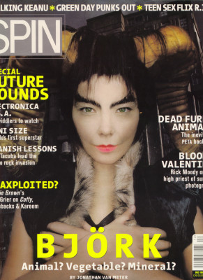 Bjork pic #359770