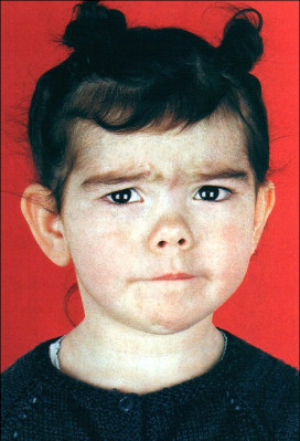 Bjork pic #58975