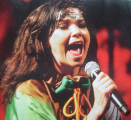 Bjork pic #125815