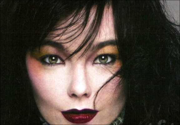 Bjork pic #109469