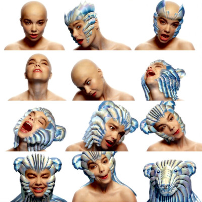 Bjork pic #13616