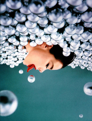 Bjork pic #13614