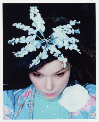 Bjork pic #69144