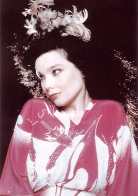 Bjork pic #201356