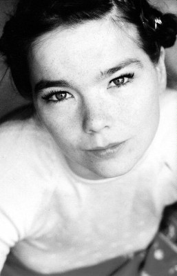 Bjork pic #13621