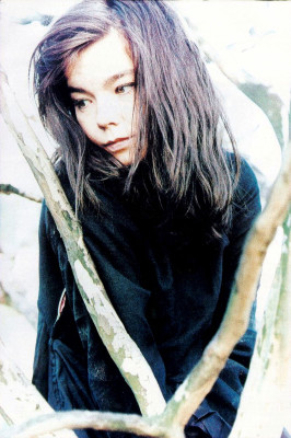 Bjork pic #13605