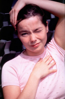 Bjork pic #174243