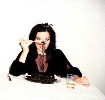 Bjork pic #109468