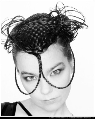 Bjork pic #52412