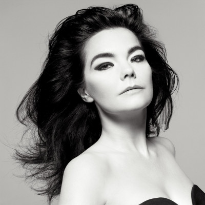 Bjork pic #359771