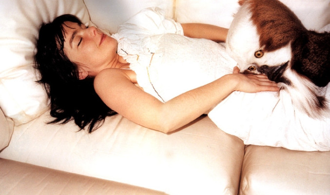 Bjork pic #58973